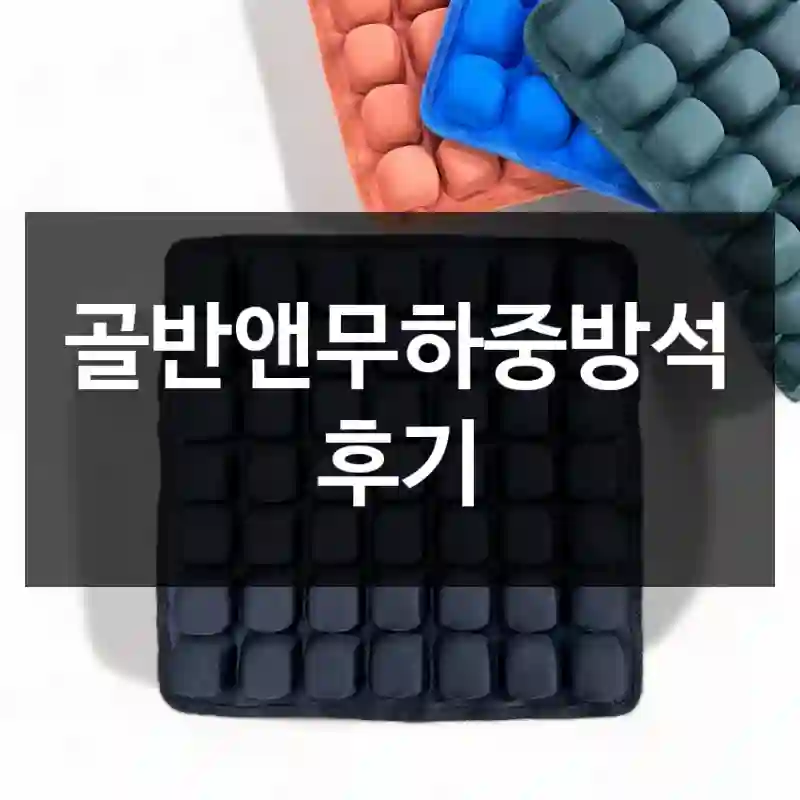 골반앤무하중방석 후기