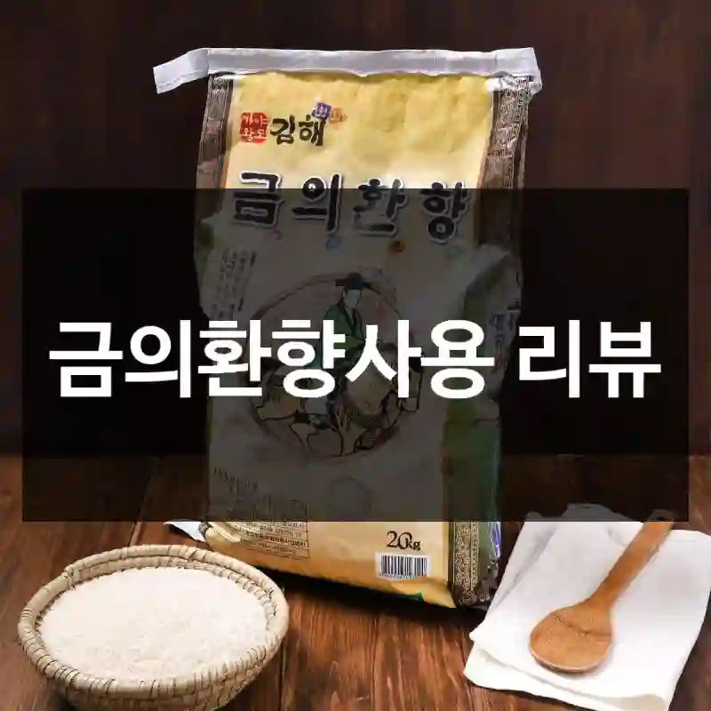 금의환향사용 리뷰