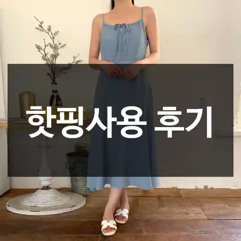 핫핑사용 후기