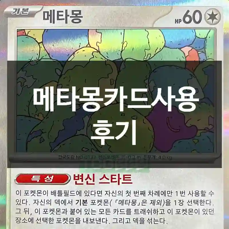 메타몽카드사용 후기