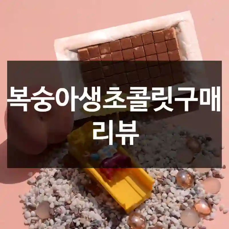 복숭아생초콜릿구매 리뷰