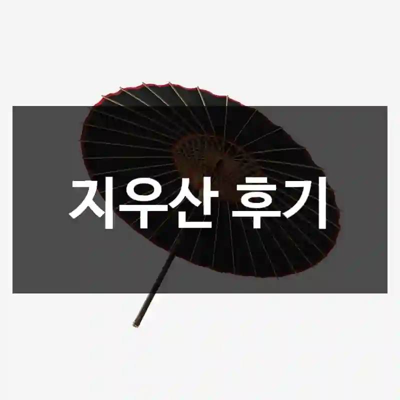 지우산 후기