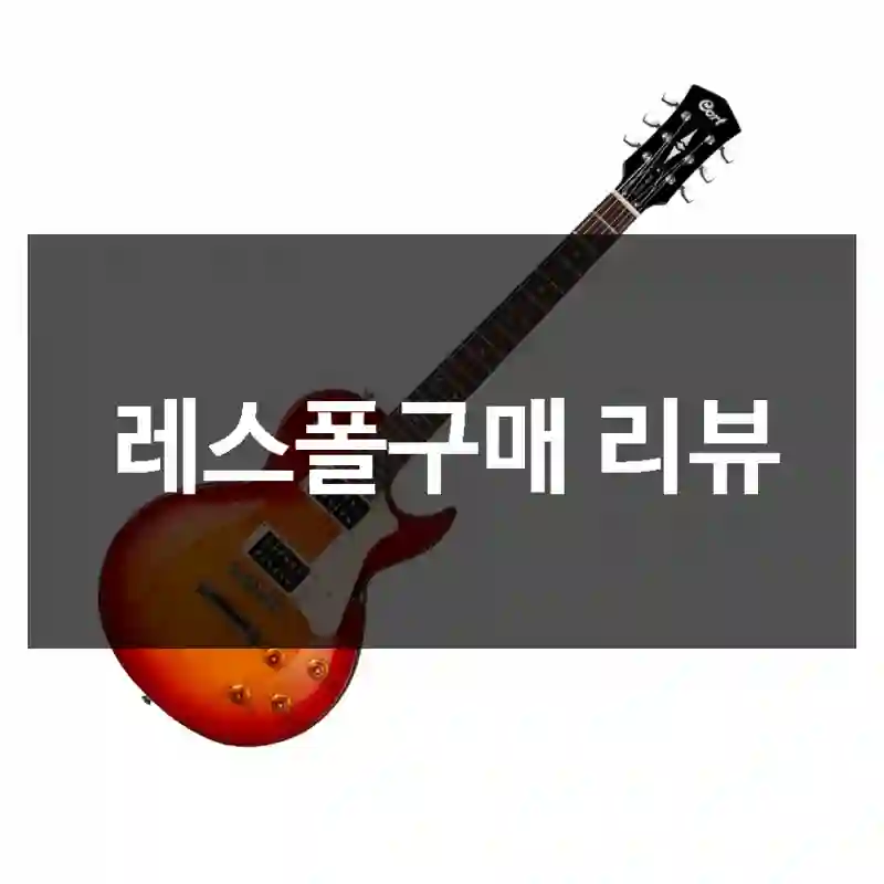 레스폴구매 리뷰