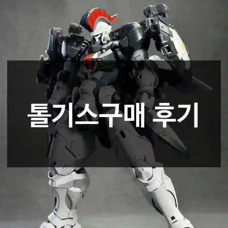 톨기스구매 후기