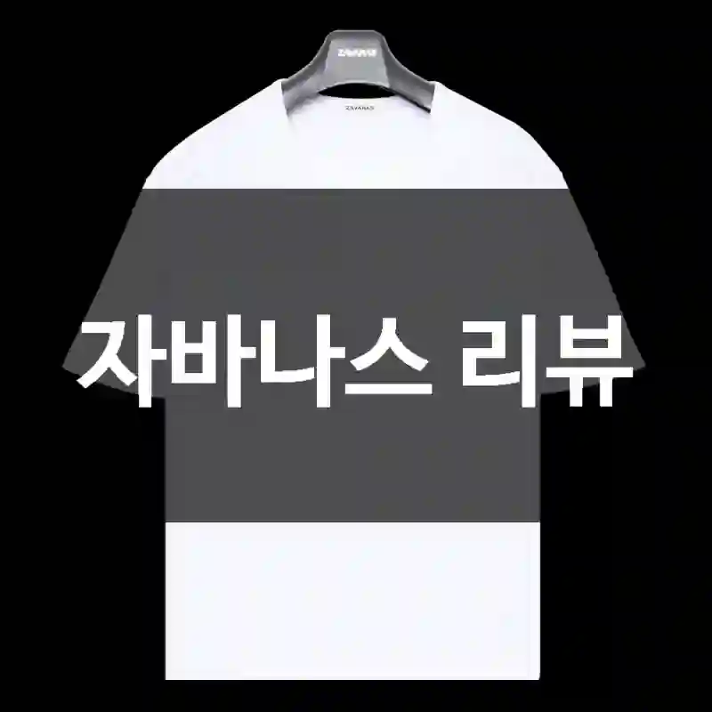 자바나스 리뷰