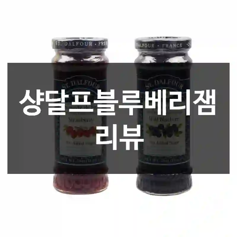 샹달프블루베리잼 리뷰