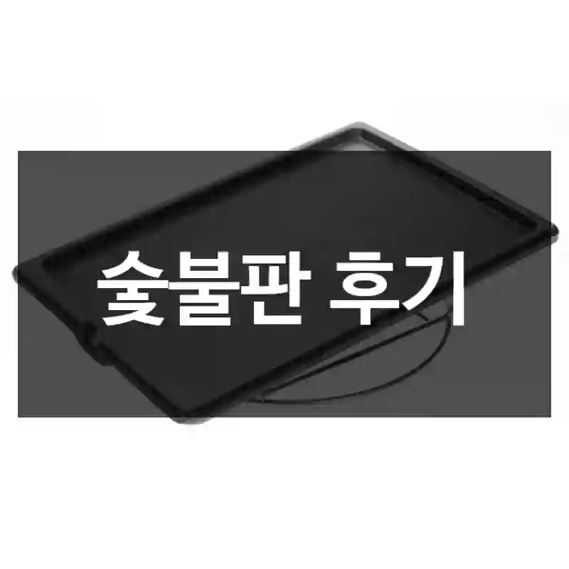 숯불판 후기