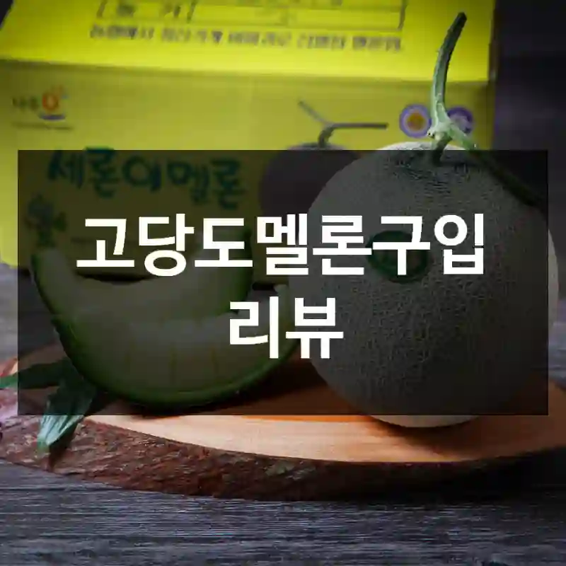 고당도멜론구입 리뷰