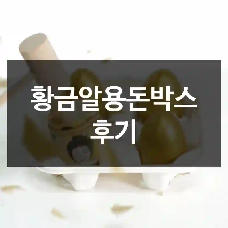 황금알용돈박스 후기