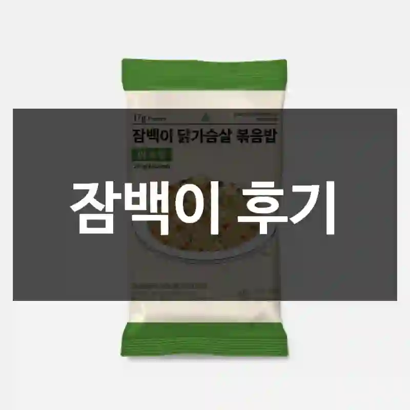 잠백이 후기