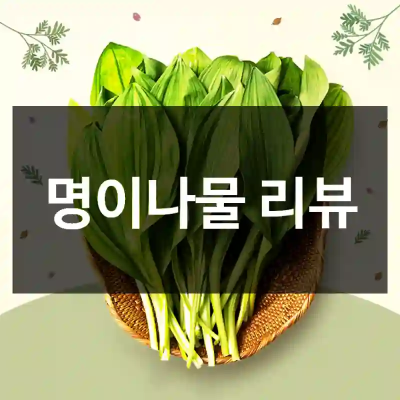 명이나물 리뷰