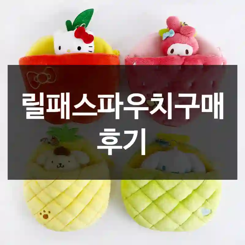 릴패스파우치구매 후기