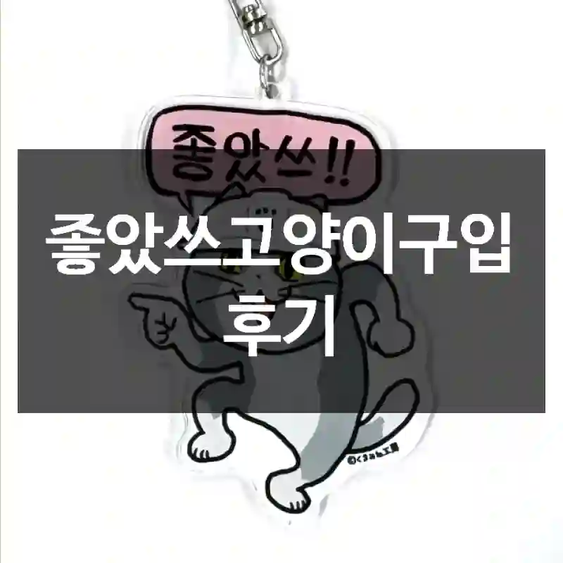 좋았쓰고양이구입 후기