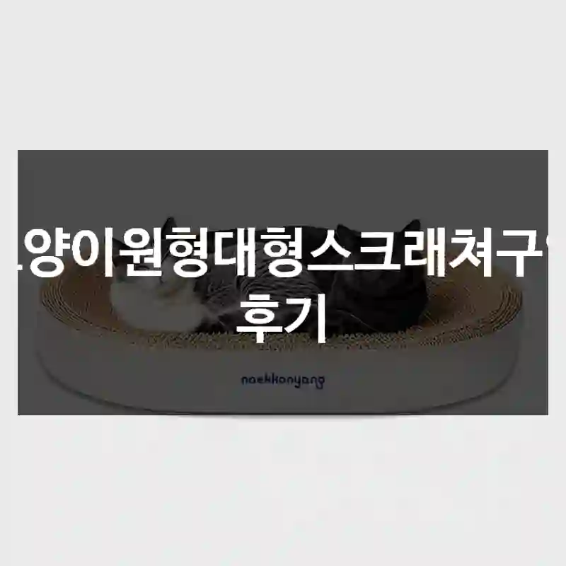 고양이원형대형스크래쳐구입 후기