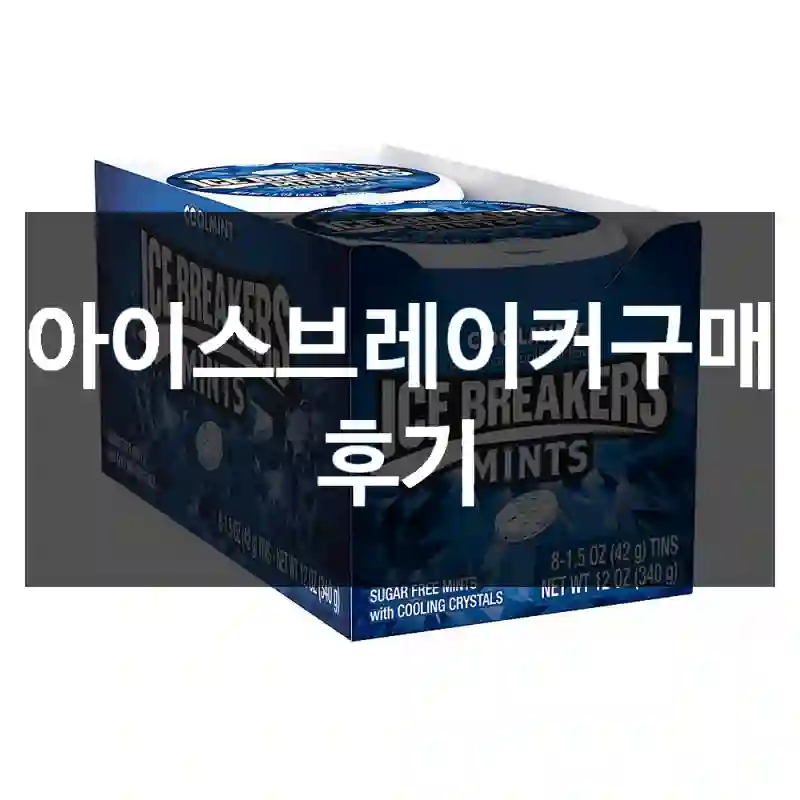 아이스브레이커구매 후기