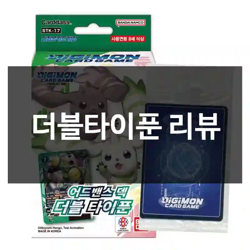 더블타이푼 리뷰