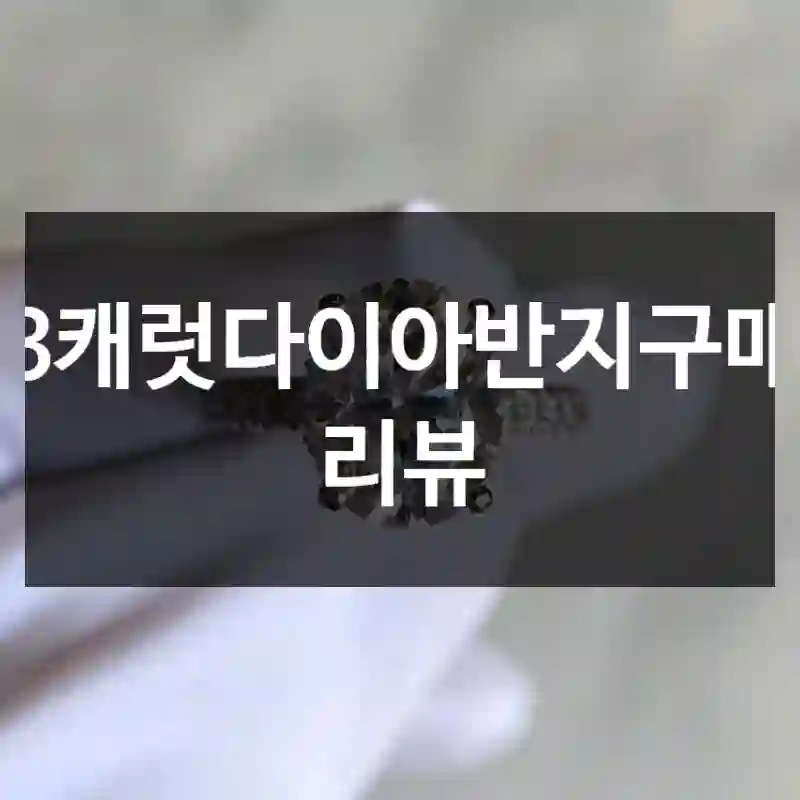 3캐럿다이아반지구매 리뷰