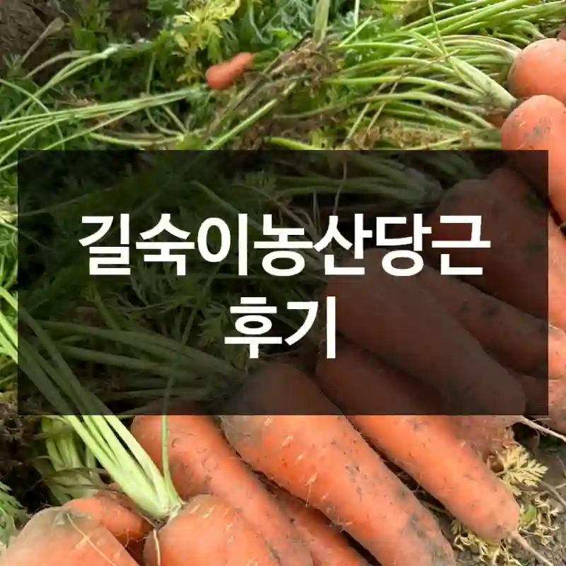 길숙이농산당근 후기