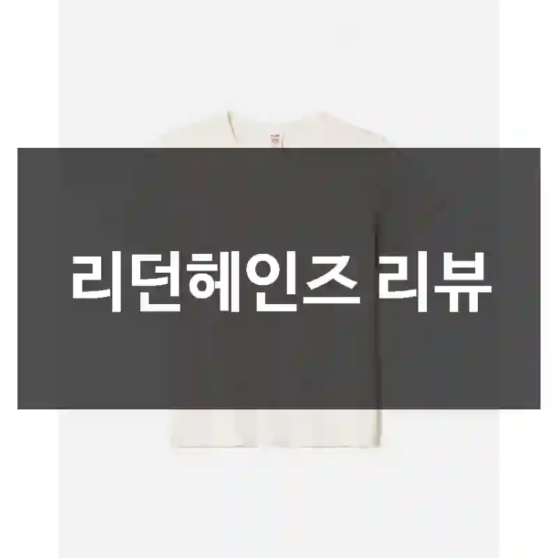 리던헤인즈 리뷰