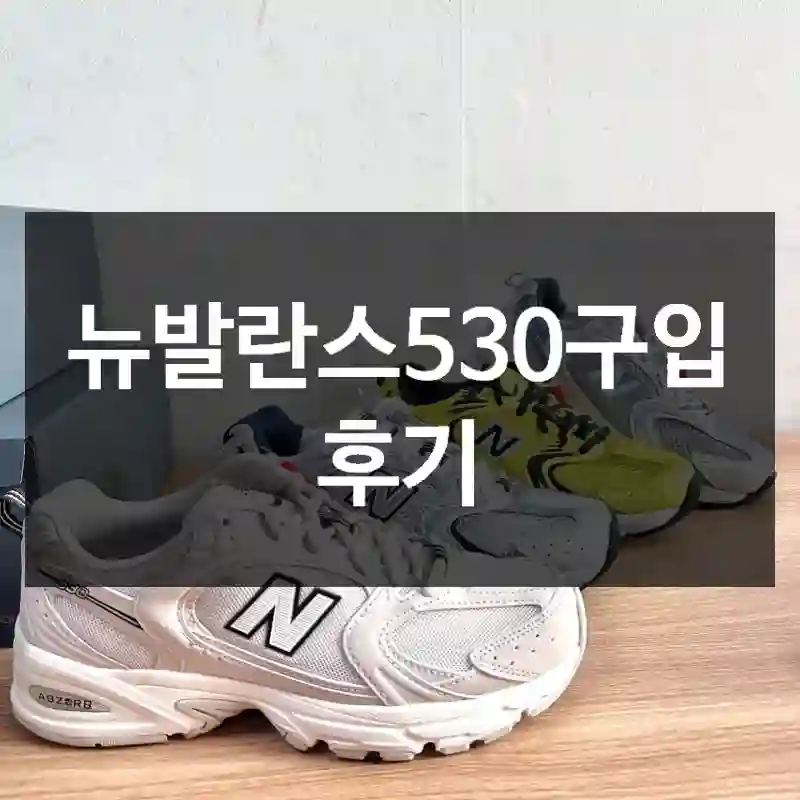 뉴발란스530구입 후기