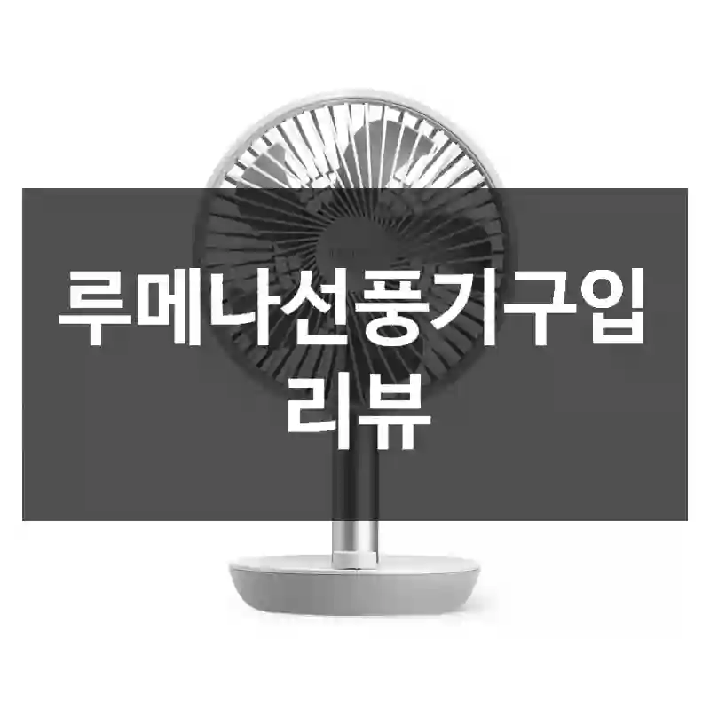 루메나선풍기구입 리뷰