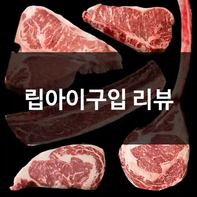 립아이구입 리뷰