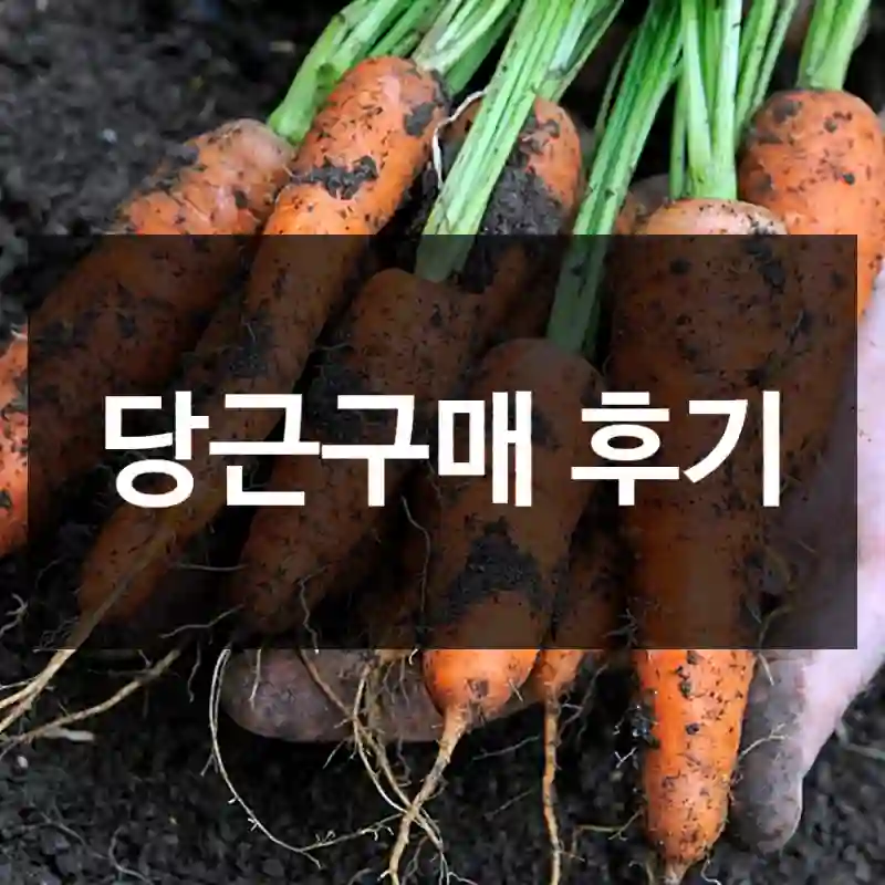당근구매 후기