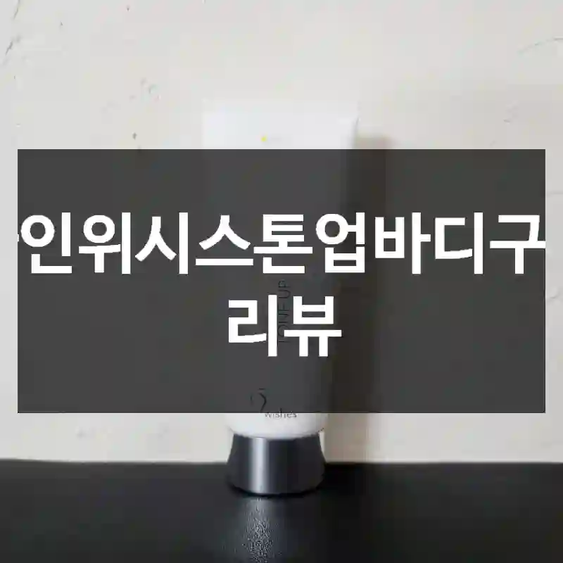 나인위시스톤업바디구입 리뷰