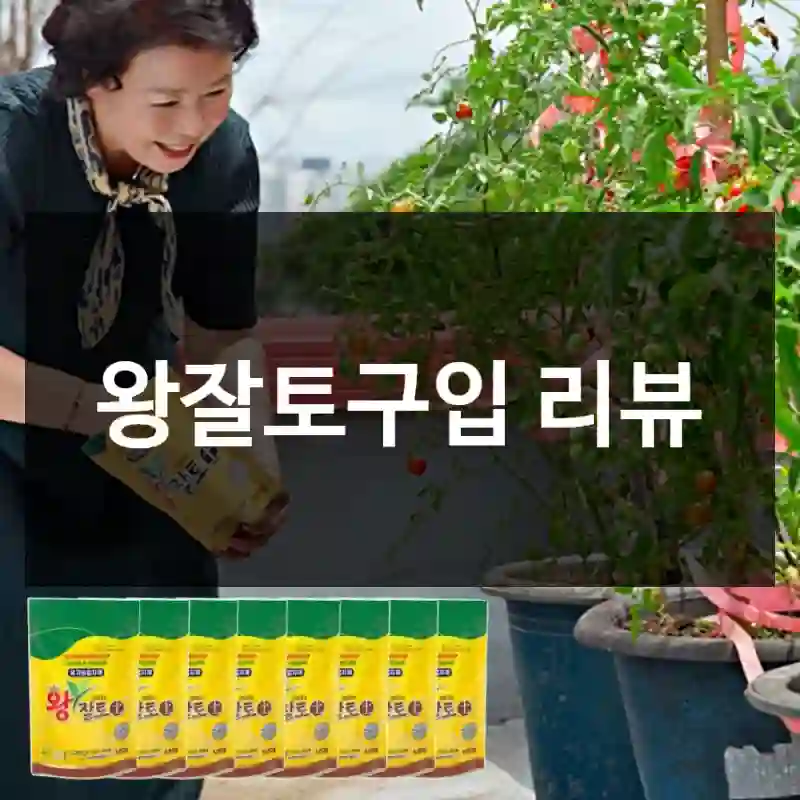 왕잘토구입 리뷰