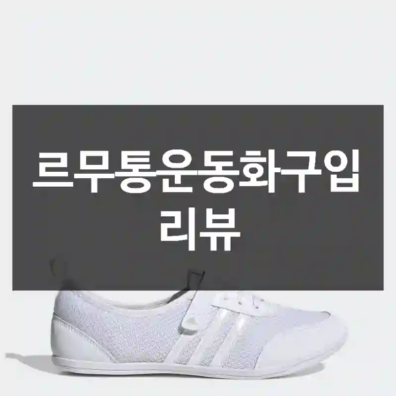 르무통운동화구입 리뷰