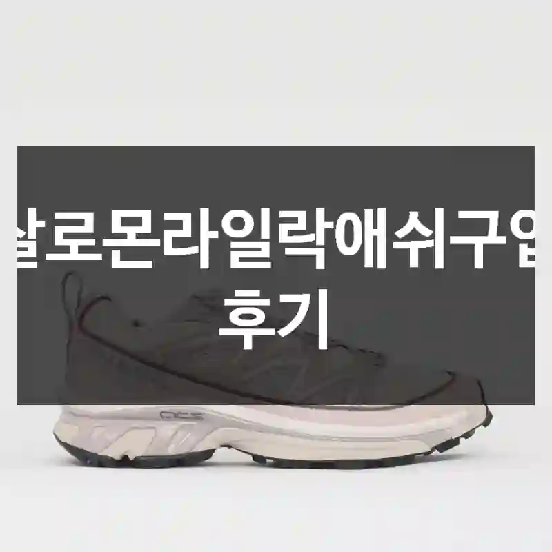 살로몬라일락애쉬구입 후기