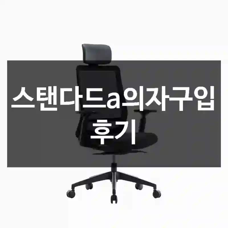 스탠다드a의자구입 후기