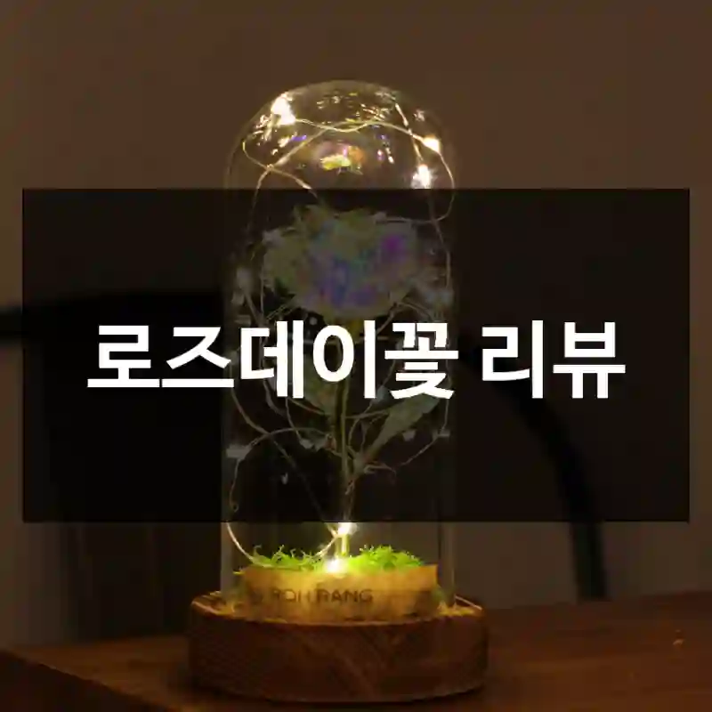 로즈데이꽃 리뷰
