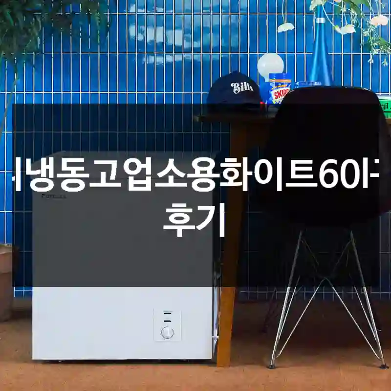 미니냉동고업소용화이트60l구매 후기
