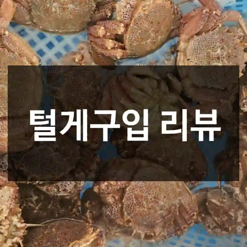 털게구입 리뷰