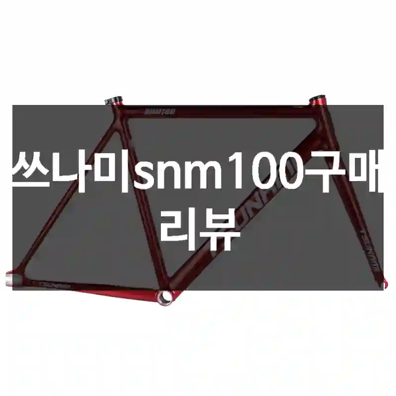 쓰나미snm100구매 리뷰