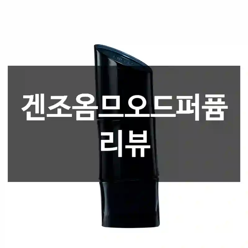 겐조옴므오드퍼퓸 리뷰