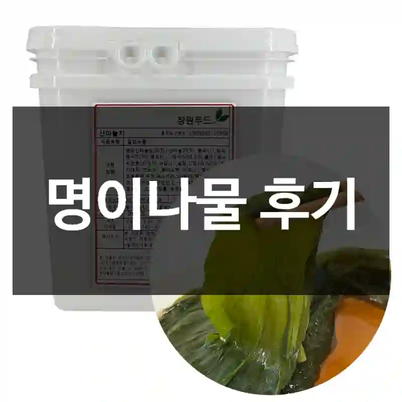 명이나물 후기