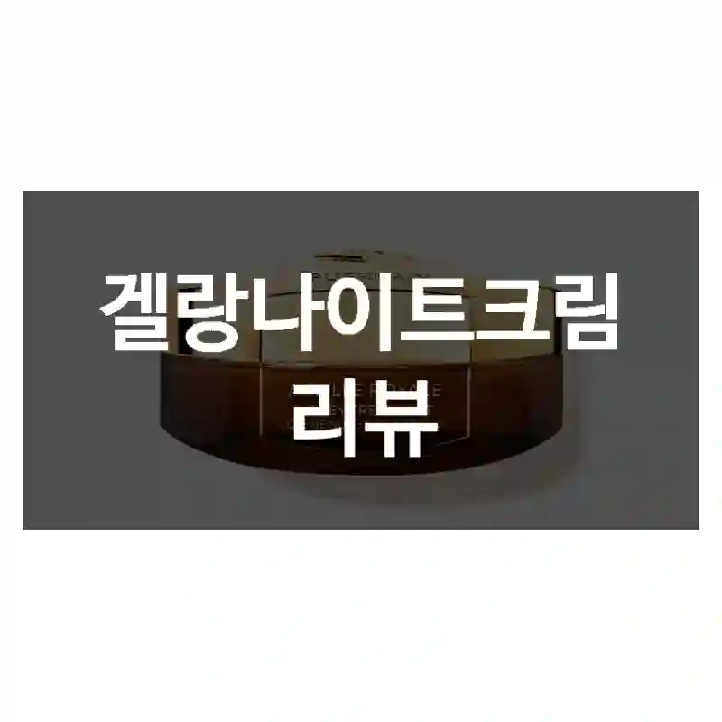 겔랑나이트크림 리뷰