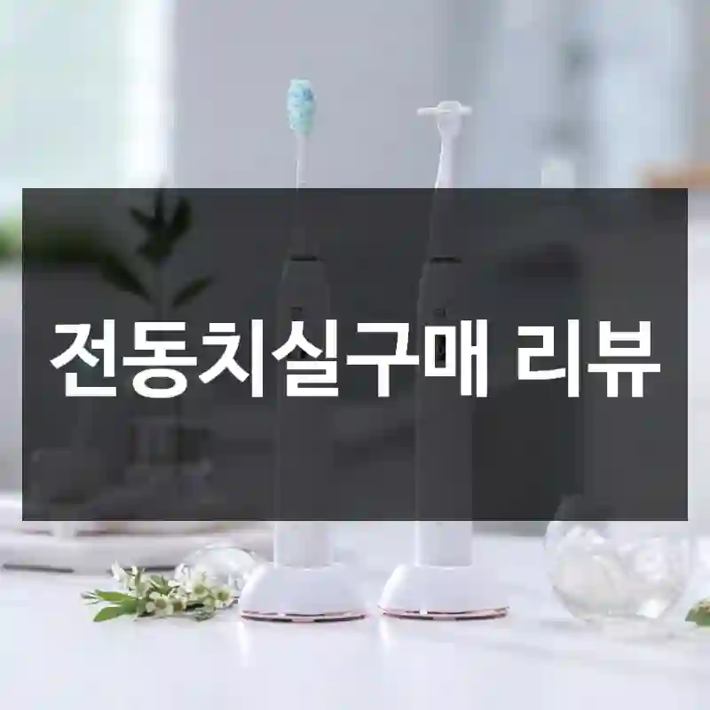 전동치실구매 리뷰