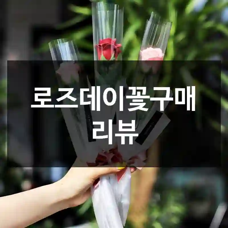 로즈데이꽃구매 리뷰