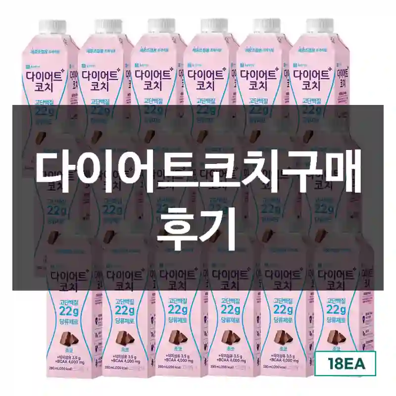 다이어트코치구매 후기