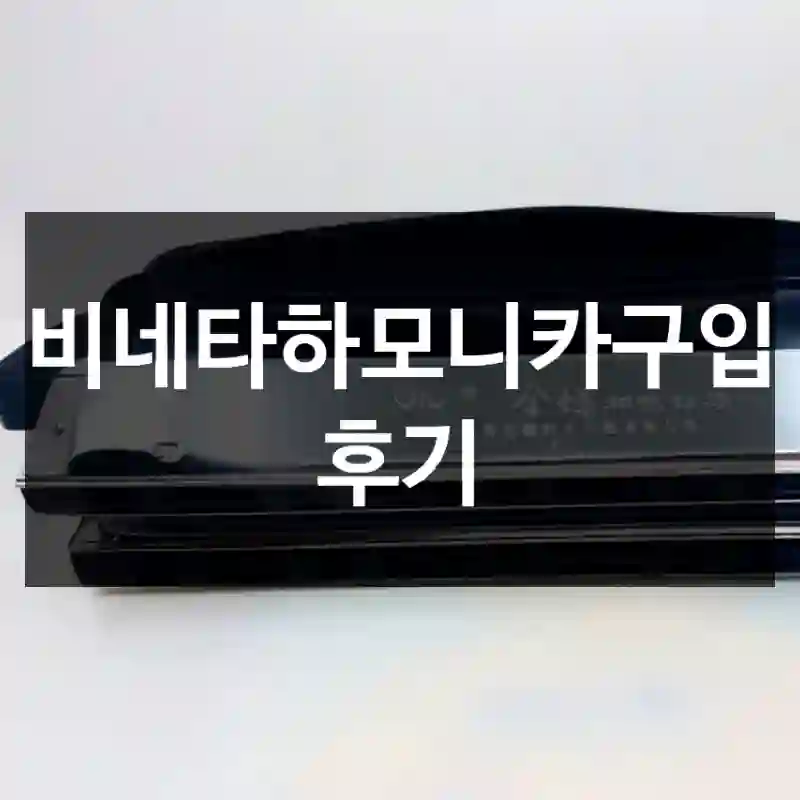 비네타하모니카구입 후기