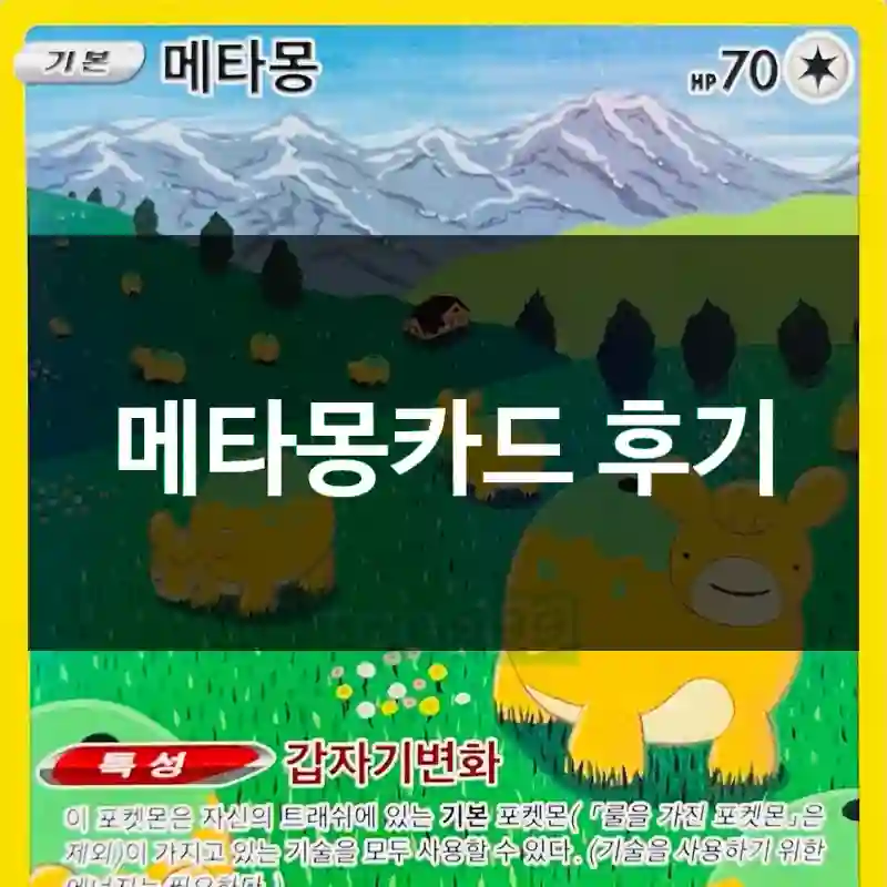 메타몽카드 후기