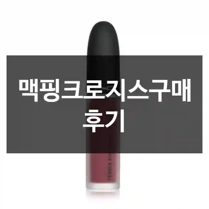 맥핑크로지스구매 후기