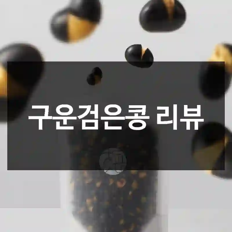 구운검은콩 리뷰