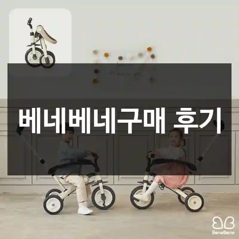 베네베네구매 후기