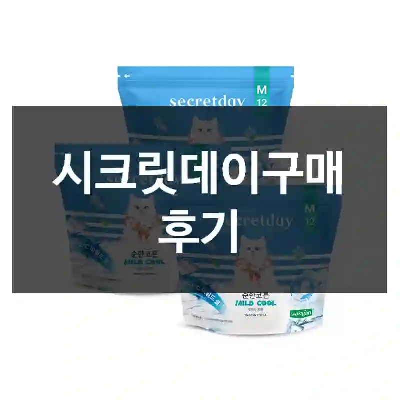 시크릿데이구매 후기