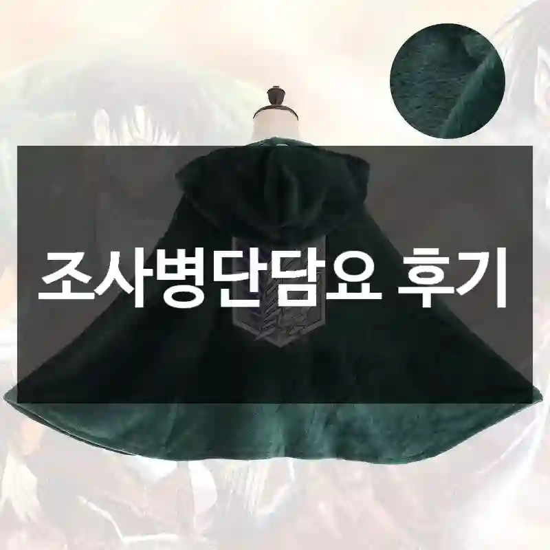 조사병단담요 후기