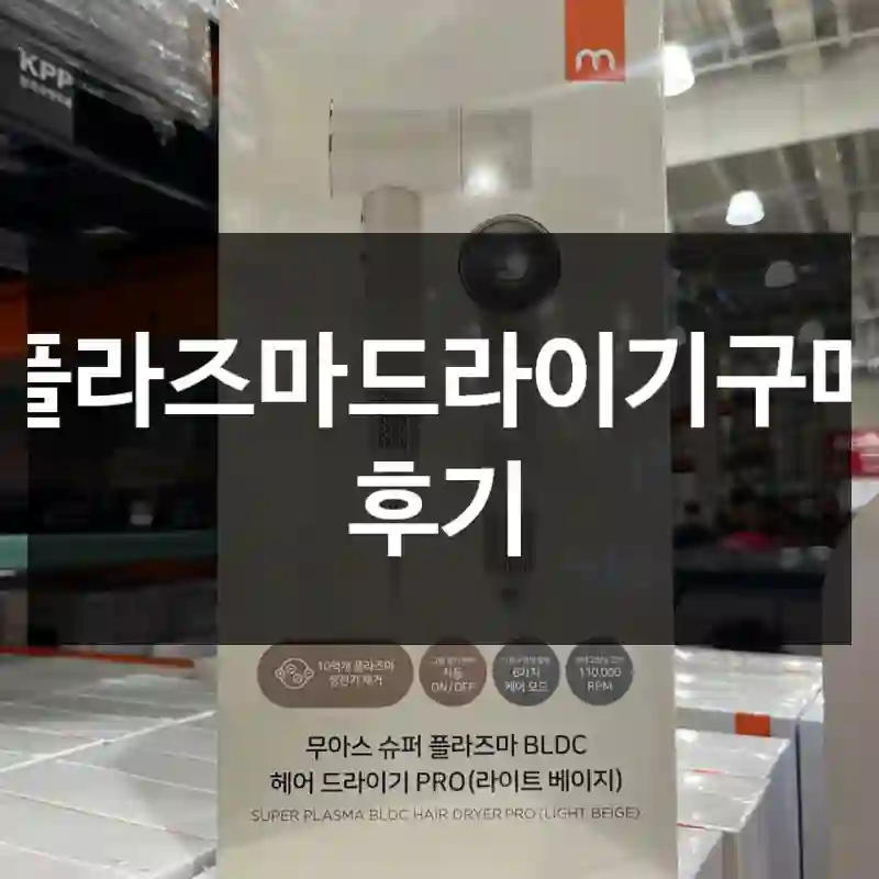 플라즈마드라이기구매 후기